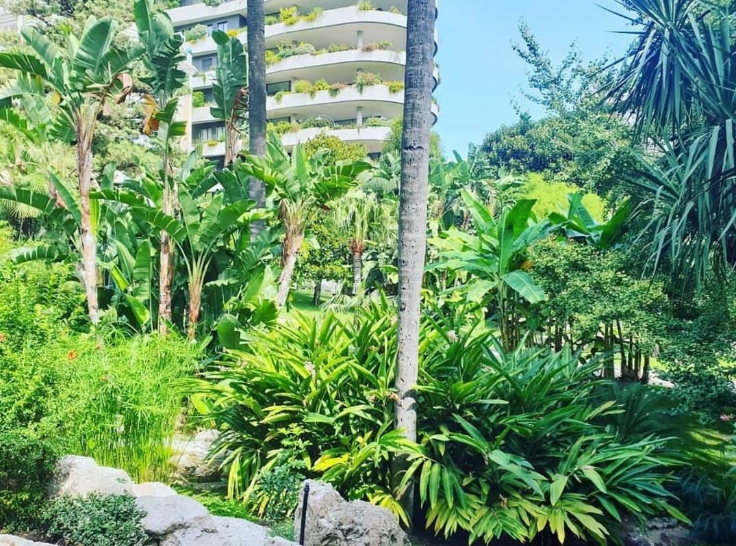 Home for 2 few steps from casino monte carlo and beach Beausoleil Exterior foto